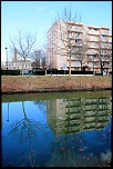-img_0340.jpg