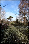 -img_0232.jpg