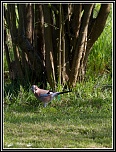 neoxygen-avr13-6.jpg