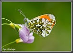 neoxygen-avr13-4.jpg