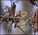 -img_0005.jpg