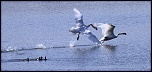 -img_1502.jpg