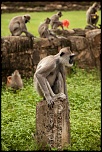 Le 3000D pour septembre?-srilanka-7.jpg