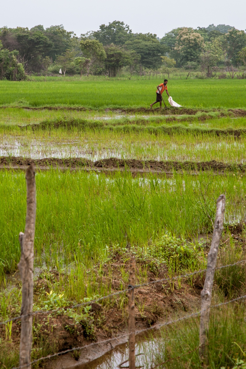 Le 3000D pour septembre?-srilanka-4.jpg
