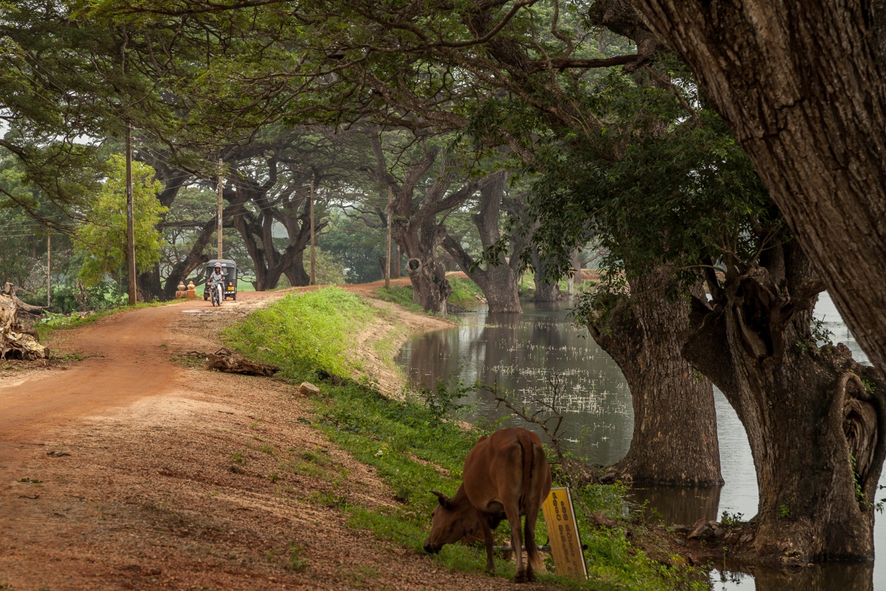Le 3000D pour septembre?-srilanka-5.jpg
