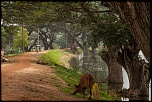 Le 3000D pour septembre?-srilanka-5.jpg