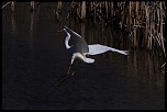 -img_1307.jpg