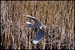 -img_1304.jpg
