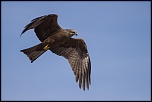 camargue 16 04 2013 17 10 40 0524