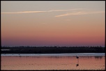 camargue 14 04 2013 20 39 59 0305