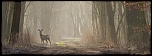 mommenheim 02 18 2013 09 41 46 0021