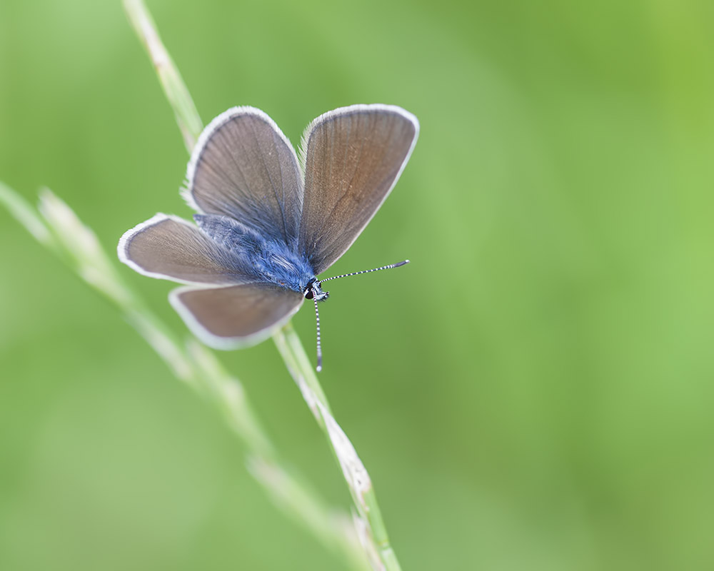 -mommenheim_19-07-2011-14-10-37_0648.jpg