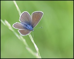 -mommenheim_19-07-2011-14-10-37_0648.jpg