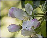 -seresville_10-04-2011_0085.jpg