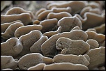 -mommenheim-_26-02-2011_0112.jpg