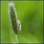 -img_8226.jpg