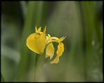 -epernon_27-05-2012-15-21-04_0049.jpg