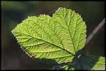 -seresville_14-10-2011-13-35-46_0005.jpg