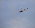 -offendorf_10-07-2012-14-09-52_0043.jpg
