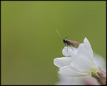 -seresville_19-05-2012-12-44-11_0022.jpg