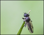 -montecot_16-04-2011_0011.jpg