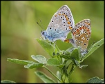 -waltenheim_14-08-2010_0207.jpg