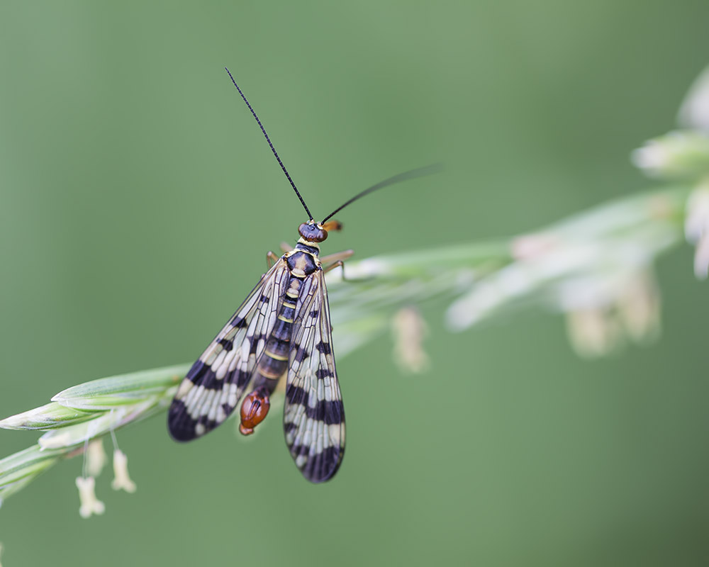 -mommenheim_19-07-2011-12-41-15_0310.jpg