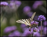 -limeuil_30-07-2012-15-52-20_0025.jpg