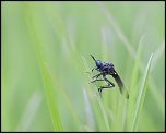 -seresville_19-05-2012-12-45-48_0027.jpg
