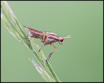 -mommenheim_19-07-2011-12-39-08_0289.jpg