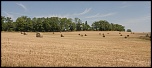 -img_3174.jpg