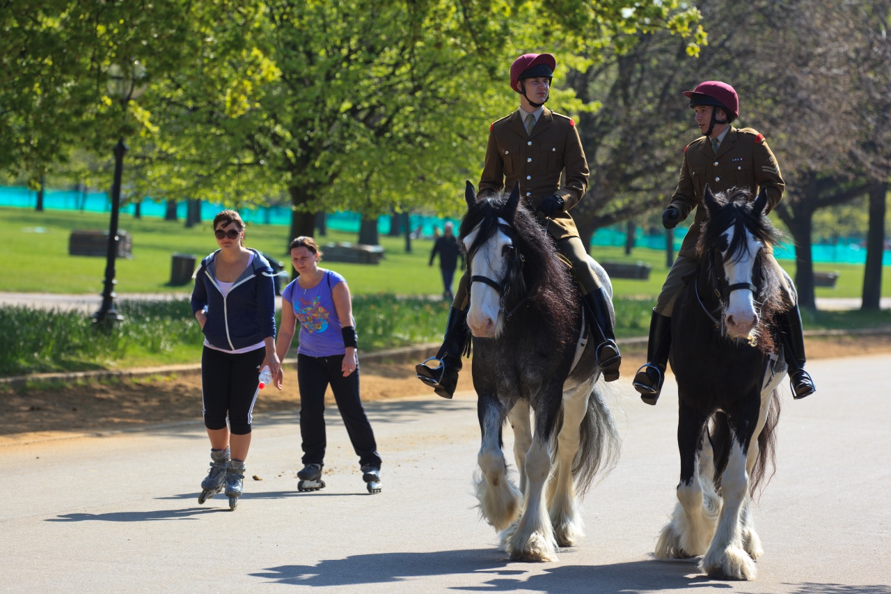 HydePark Horse&Roller