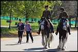 HydePark Horse&Roller