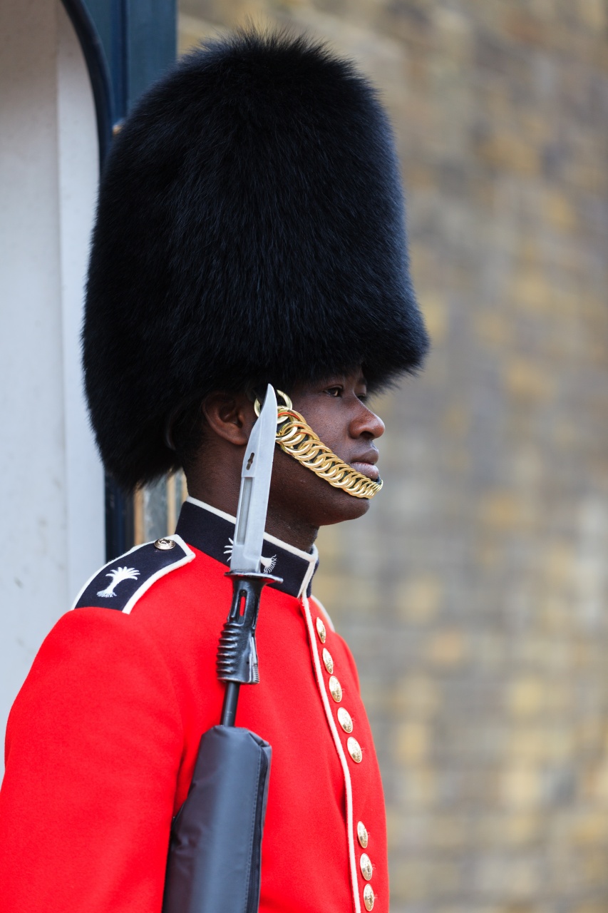 Westminster HorseGuard