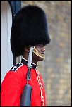 Westminster HorseGuard