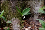 une tite nouvelle-img_1519.jpg