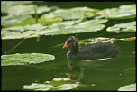 -img_1966.jpg