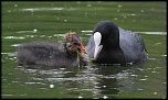 -img_1942.jpg