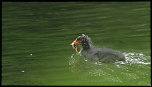 -img_1947.jpg