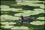 -img_1958.jpg