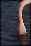 Easy Photo Transfert-5180.jpg