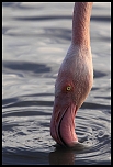 Easy Photo Transfert-5181.jpg
