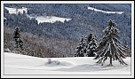 -img_0375_version1.jpg