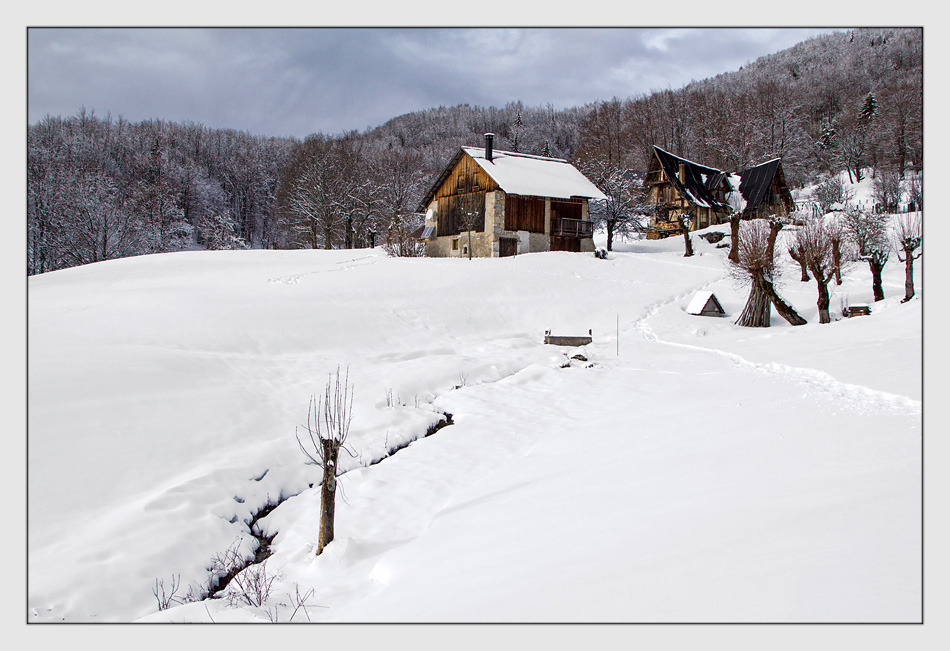 -img_0372_version1.jpg