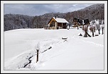 -img_0372_version1.jpg