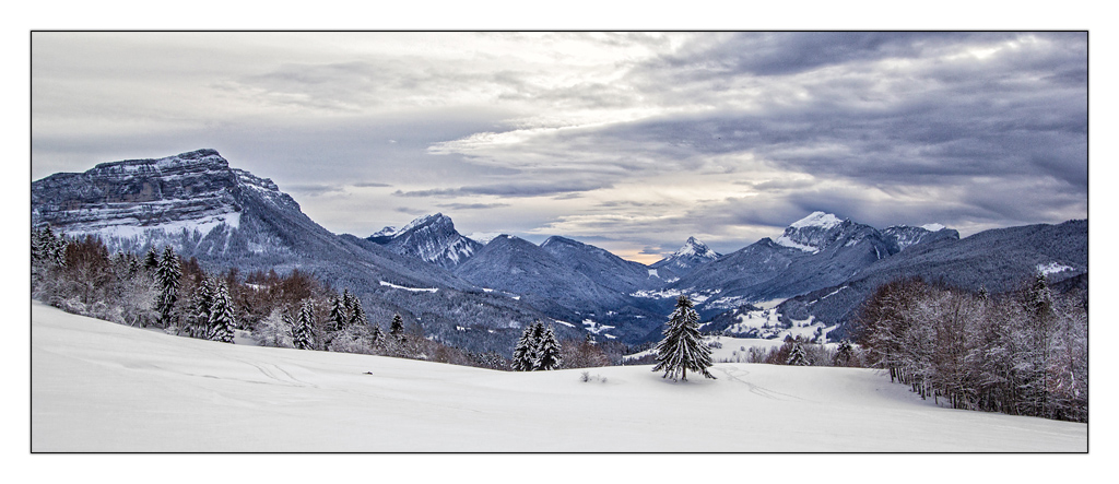-img_0399_version1-3.jpg