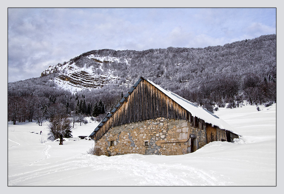 -img_0380_version1.jpg