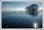 -img_0039_version1.jpg