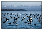 -img_0044_version1.jpg