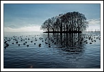 -img_0048_version1.jpg
